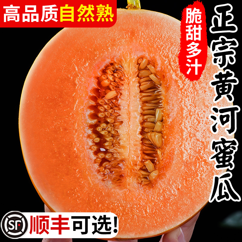 陕西黄河蜜瓜10甜瓜水果新鲜当季整箱斤沙漠黄金哈密瓜香瓜羊角脆