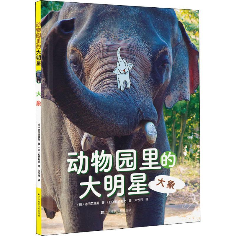 正版 动物园里的大明星大象 大象将鼻子缠在一起打招呼 大象的饮食偏好生活习性等 大象喜欢玩水 池田菜津美 辽宁科学技术出版社