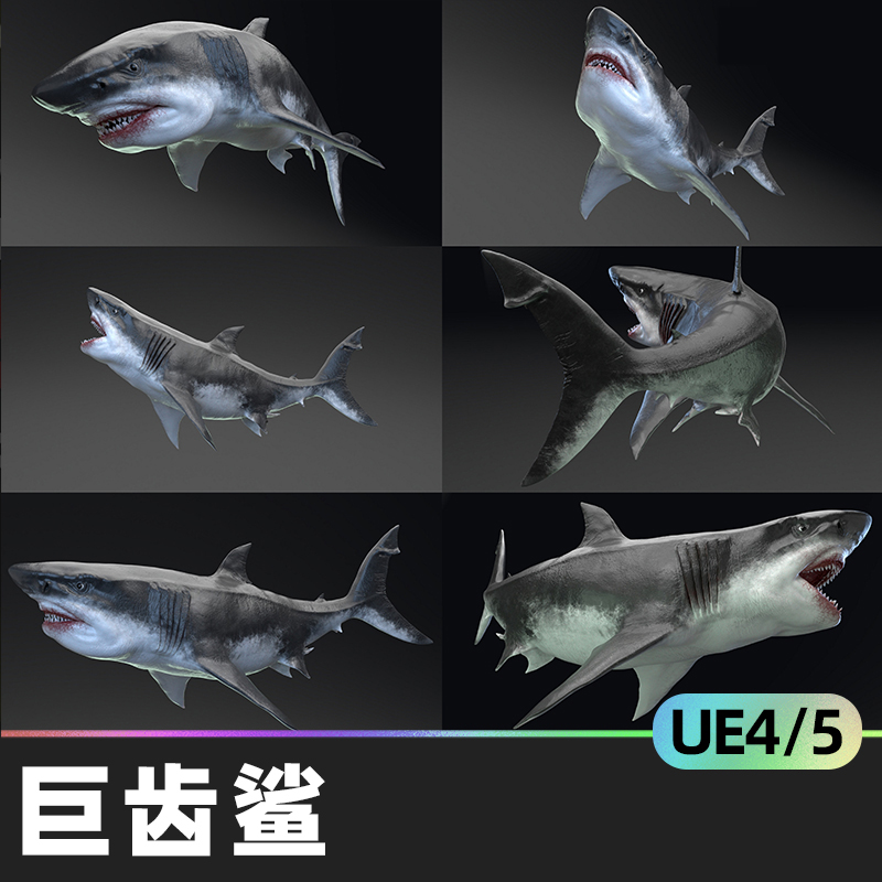 MEGALODON - Sea Monster Series 5巨齿鲨海怪UE4虚幻5鲨鱼动画