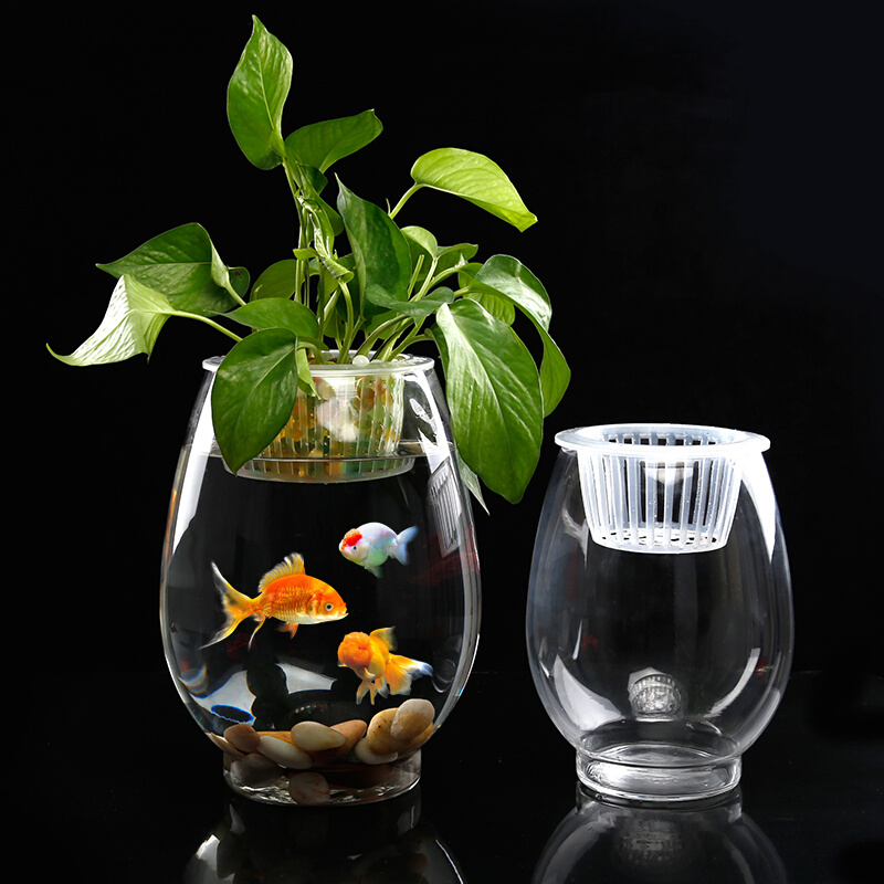 玻璃水培植物花瓶 铜钱草绿萝红掌 透明恐龙蛋富贵竹水养鱼缸器皿