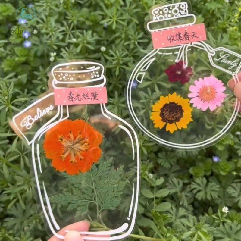 瓶子里的童年儿童手工DIY透明贴纸自制干花植物标本玻璃瓶书签