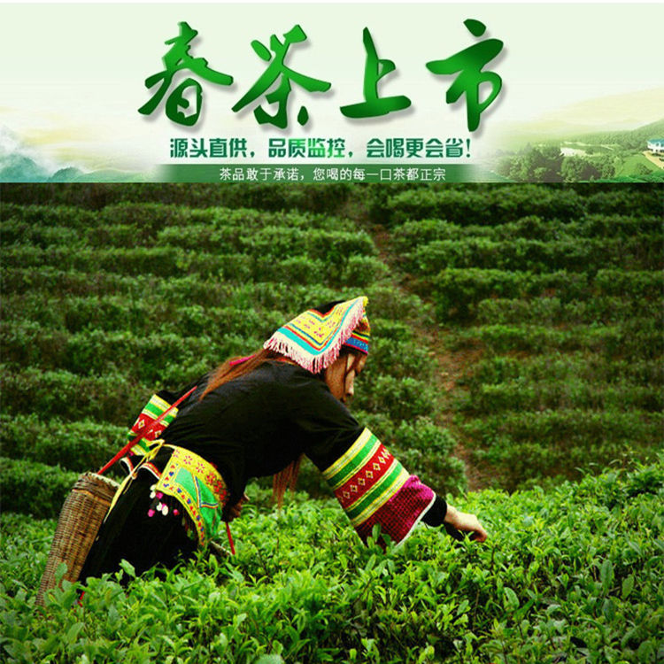 新货江华苦茶 湖南永州绿茶茶叶 瑶族特产苦茶120克 新茶包邮