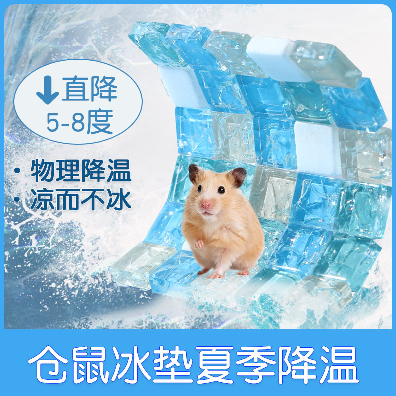 金丝熊小苍仓鼠夏天降温神器冰垫专用凉席板宠物兔子龙猫用品大全