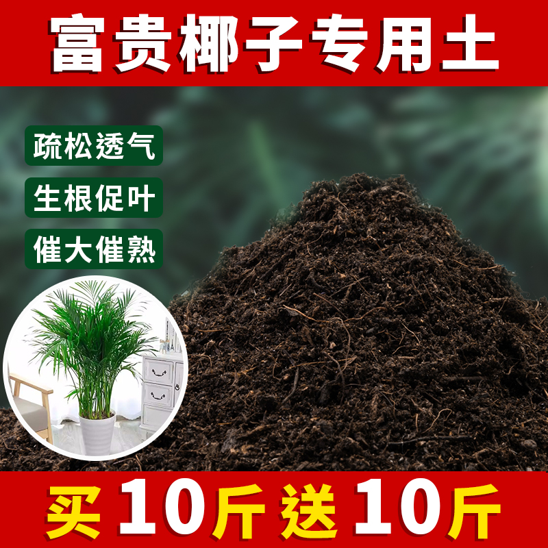 富贵椰子专用土富贵椰子土盆栽土营养土通用种花养花泥土壤种植土