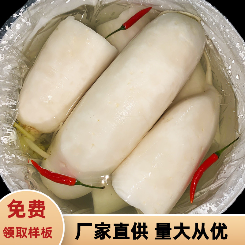 新派广东酸菜鱼酸菜桶装酸萝卜 老鸭汤泡萝卜 无需泡水16公斤