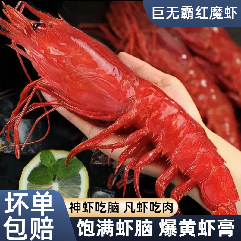 红魔虾鲜活特大生吃刺身海鳌虾海鲜水产潮汕生腌非西班牙进口甜虾