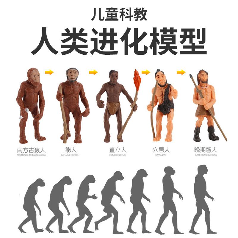 迷你人类进化模型仿真原始人公仔野人猿人智人静态摆件儿童教玩具