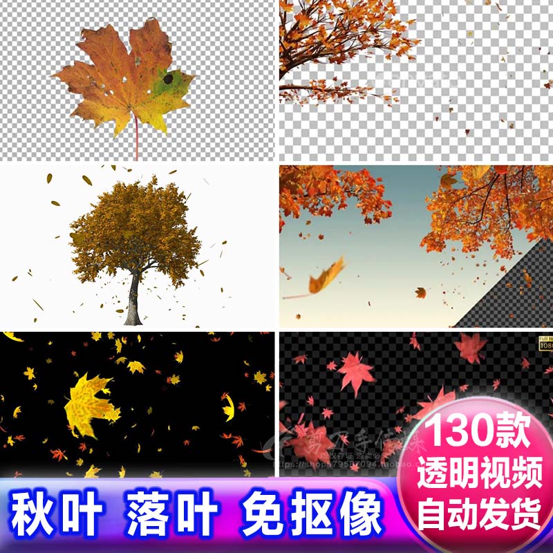 秋天树叶飘落枯黄红色枫叶落叶飞舞凋零遮罩背景透明通道视频素材