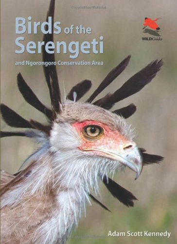 英文原版 塞伦盖蒂的鸟类：和恩戈罗恩戈罗保护区 Birds of the Serengeti: And Ngorongoro Conservation Area