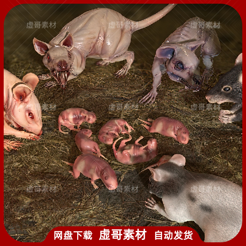 UE4UE5模型 Rats Complete Pack 变异老鼠怪物骨骼模型动画