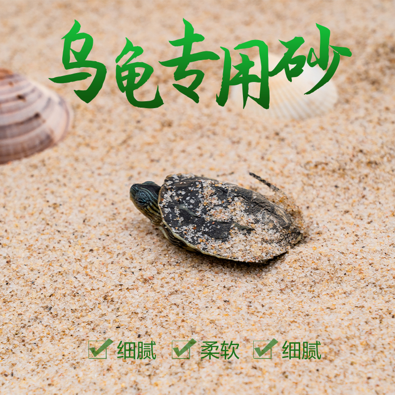 乌龟冬眠孵化用细河沙鱼缸装饰造景底砂草龟鳄龟巴西龟下蛋用砂子