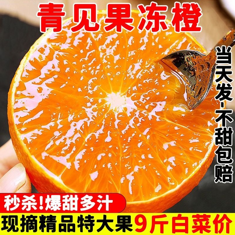 四川青见果冻橙10斤当季整箱新鲜桔子丑柑橘蜜橘孕妇水果包邮大果