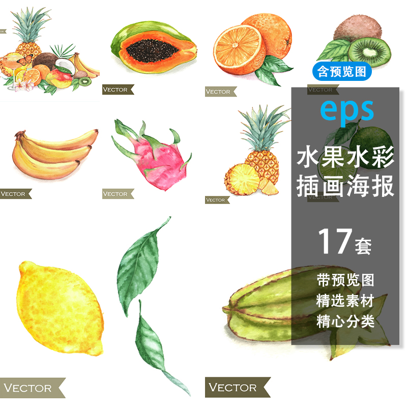 水彩手绘写实水果木瓜荔枝柠檬火龙果香蕉菠萝矢量插画设计素材