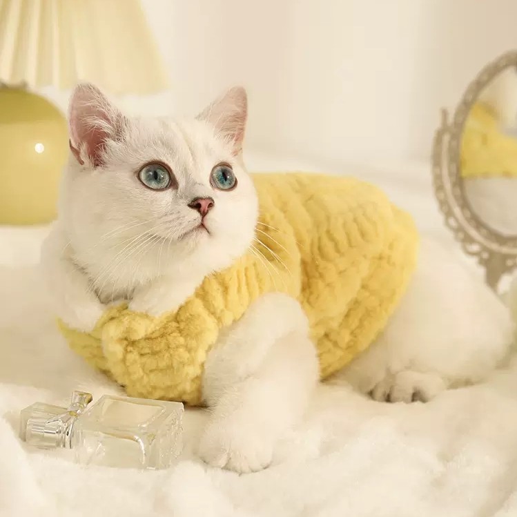 秋冬季猫咪衣服毛绒保暖布偶英短银渐层幼崽宠物可爱防掉毛棉衣潮