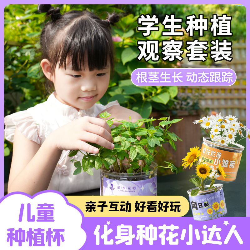 儿童种植小盆栽室内好养桌面迷你罐头植物向日葵含羞草植开心盲盒