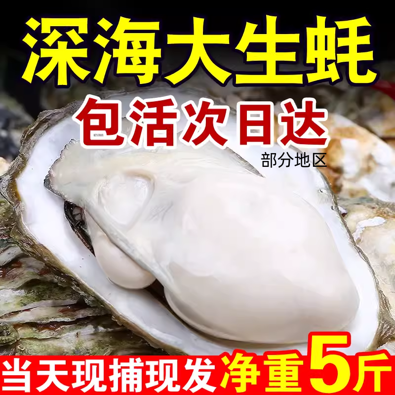 正宗乳山生蚝新鲜牡蛎新鲜包活特大超大肉海蛎子5斤海鲜水产