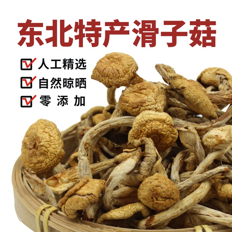 东北特产滑子菇蘑菇干货特菌菇无根级非野生小鸡炖黄蘑菇煲汤嫩滑