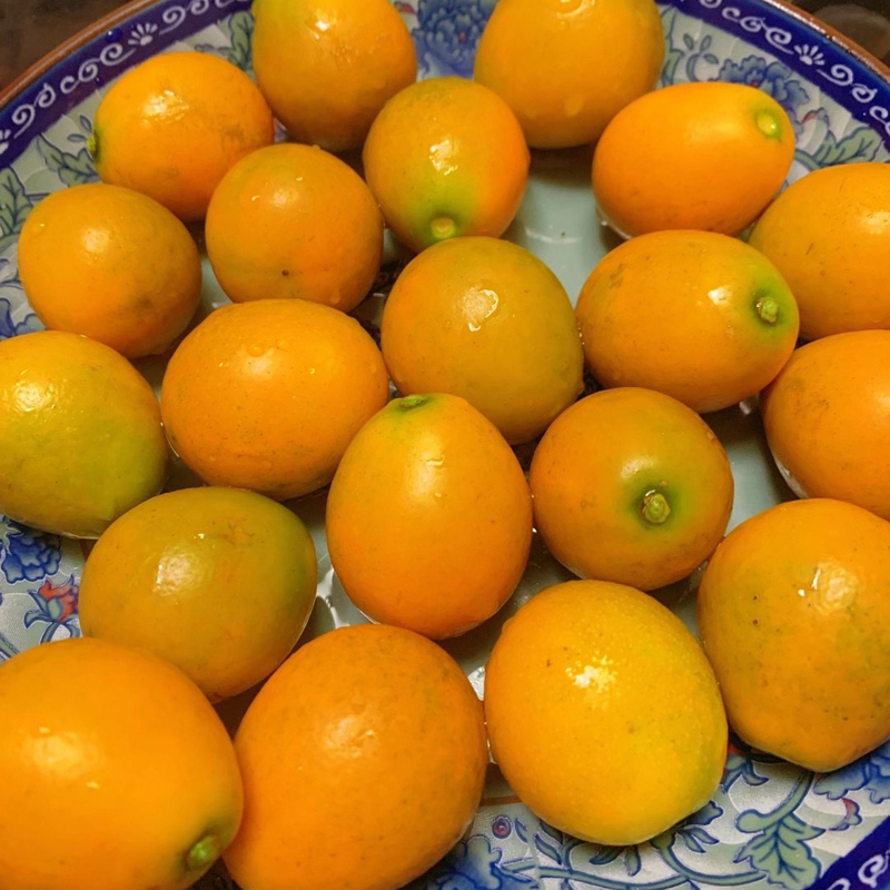 广西融安脆蜜金桔产地直销5斤中大果一斤28－30颗当季水果整箱