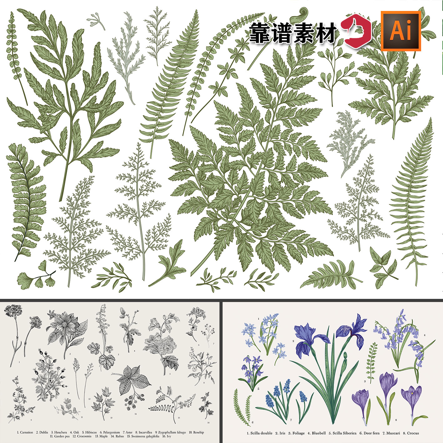 春夏植物花草黑白素描手绘叶子中草药香草料花卉AI矢量设计素材