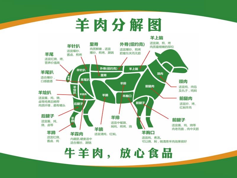 羊肉分解图 海报 羊肉分割部位图 挂图 羊肉分割图 展板 装饰画
