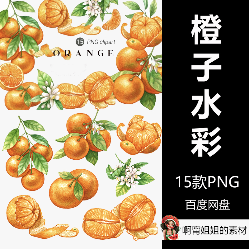 橙子水果水彩剪贴画手绘插画绘本广告PNG免抠设计素材高清新品
