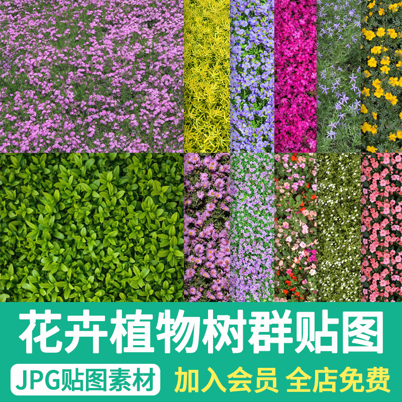 花卉绿篱灌木花丛材质PSD拼贴景观彩平图树群地被植物JPG贴图素材