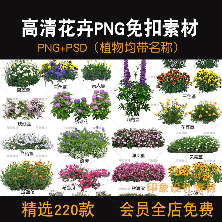 高清花卉PNG免扣素材PSD格式花朵花镜均带名称植物景观园林配景