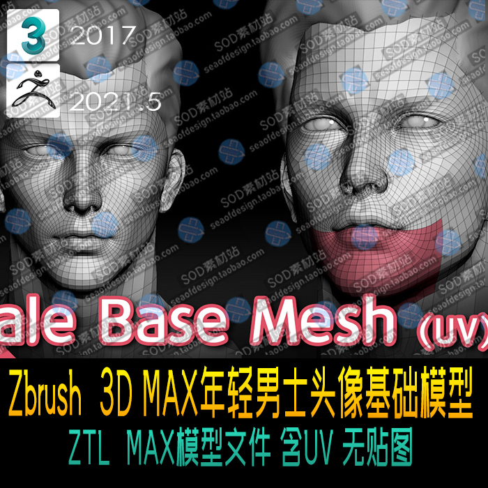 Zbrush  3D MAX年轻男士头像基础模型 ZB模型
