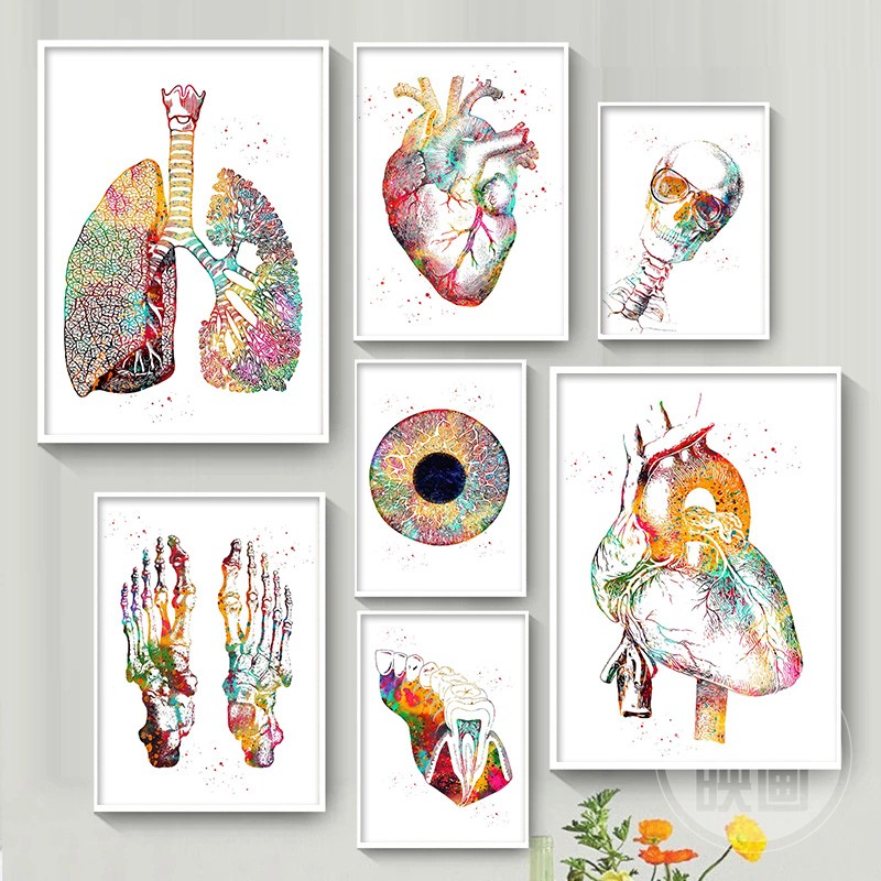 人体心脏脑肺解剖艺术绘画解剖油画海报诊所墙画医生办公室装饰画
