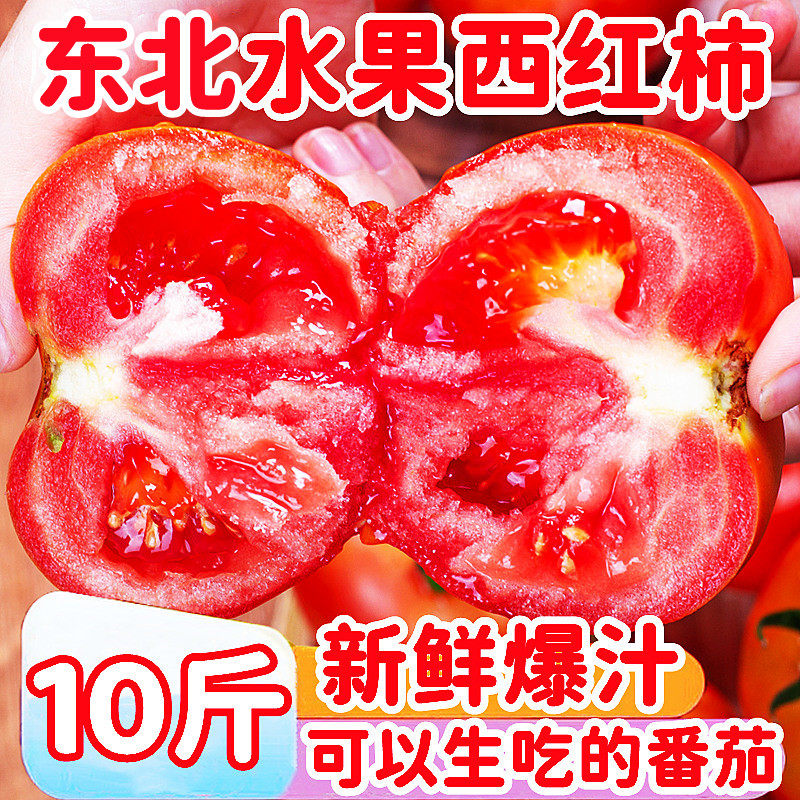 东北新鲜水果西红柿10斤应当季农家自种老品种自然熟生吃的大番茄