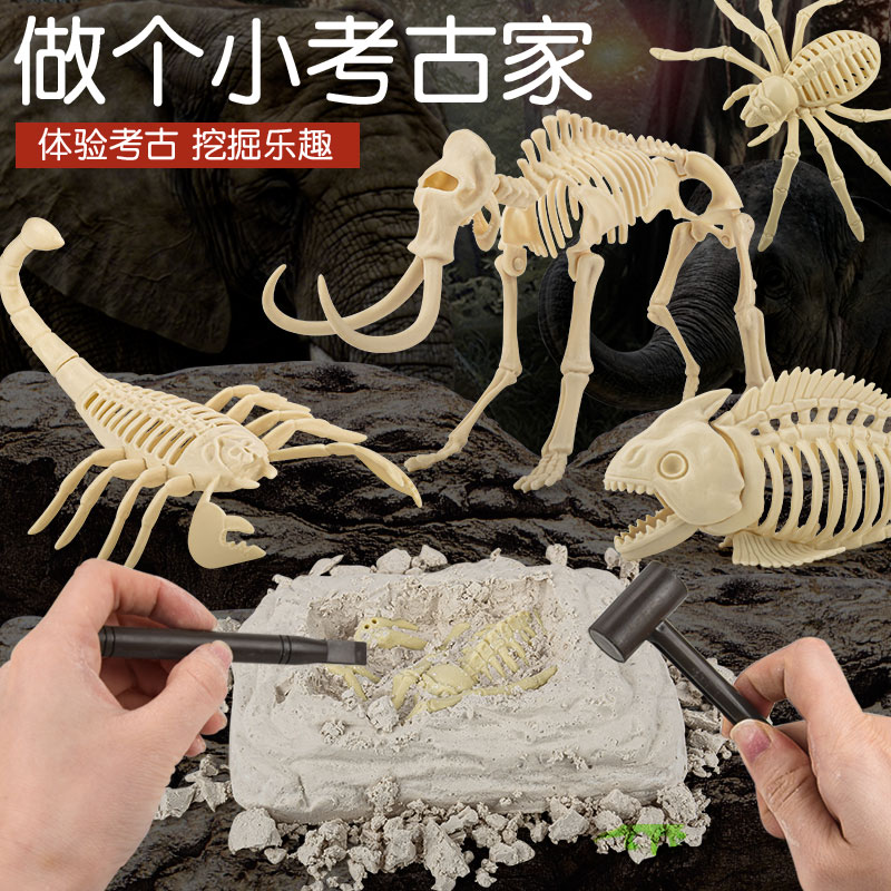 恐龙化石儿童考古挖掘玩具石膏霸王龙猛犸象骨架拼装标本摆件模型