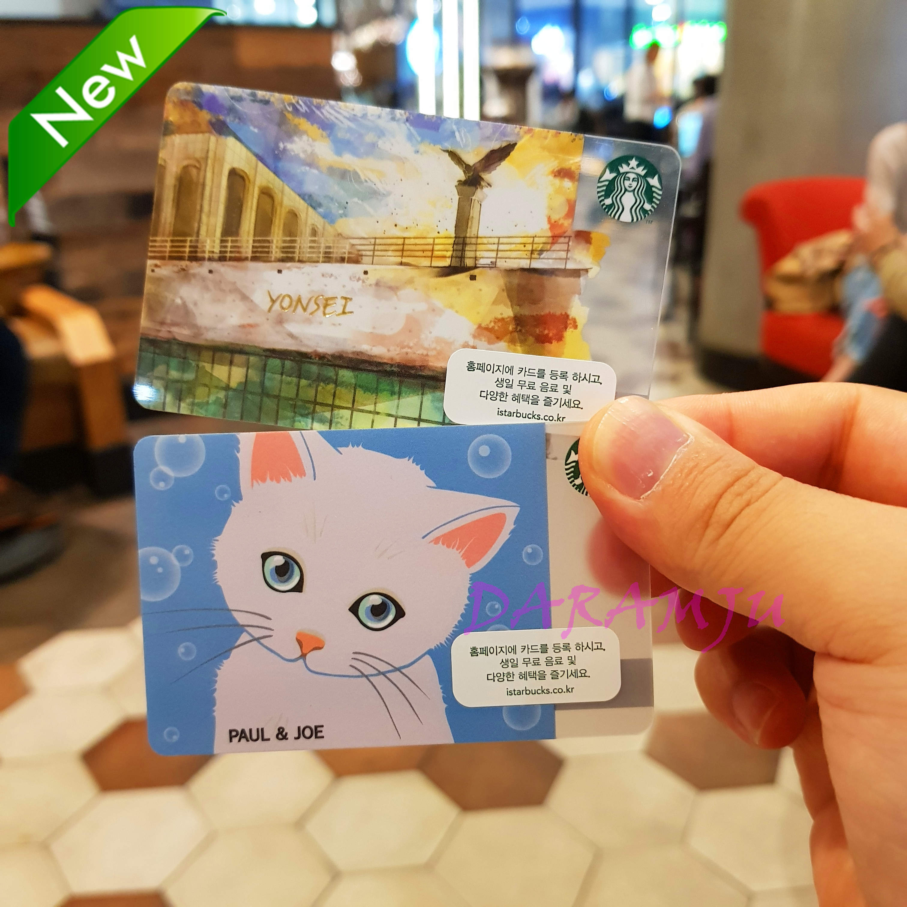 韩国星巴克限量PJ蓝色猫咪延世大学济州珍藏版随行卡随行空卡收藏