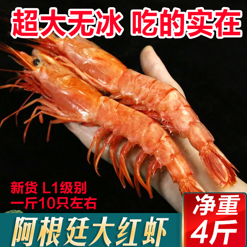阿根廷大红虾鲜活冷冻L1规格新鲜超大海虾特大红虾2kg4斤原装进口