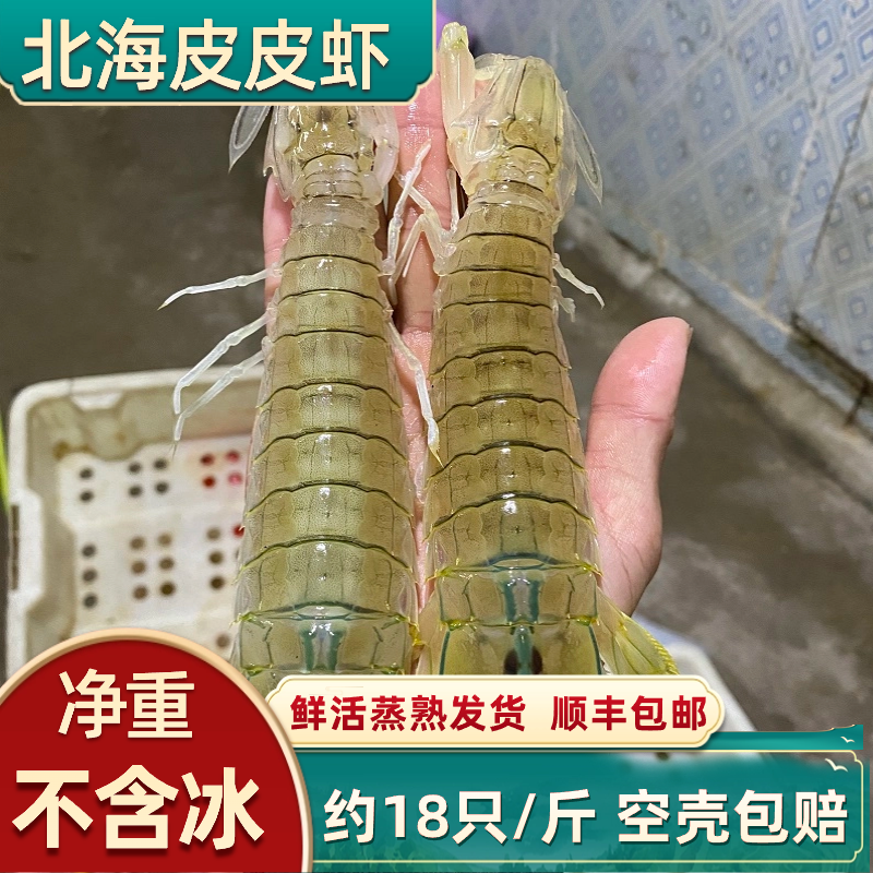 北海皮皮虾鲜活包邮海鲜水产海虾琵琶虾虾爬子新鲜濑尿虾蒸熟发货