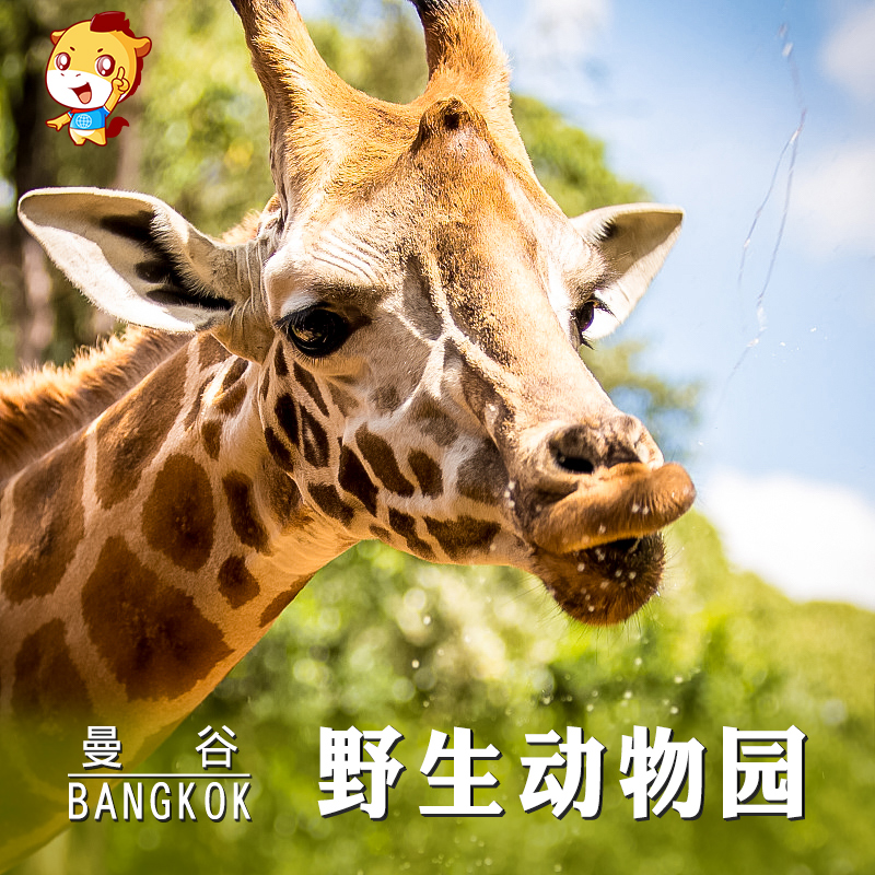 [曼谷野生动物园-套餐C：野生动物园+海洋公园（限非泰国居民）]快速出票 电子票