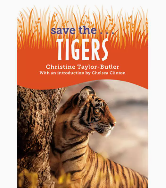 【预售】英文原版 Save The Tigers 拯救 老虎 Philomel Books 亲子读物学习如何拯救他们喜爱的动物儿童插画绘本书籍