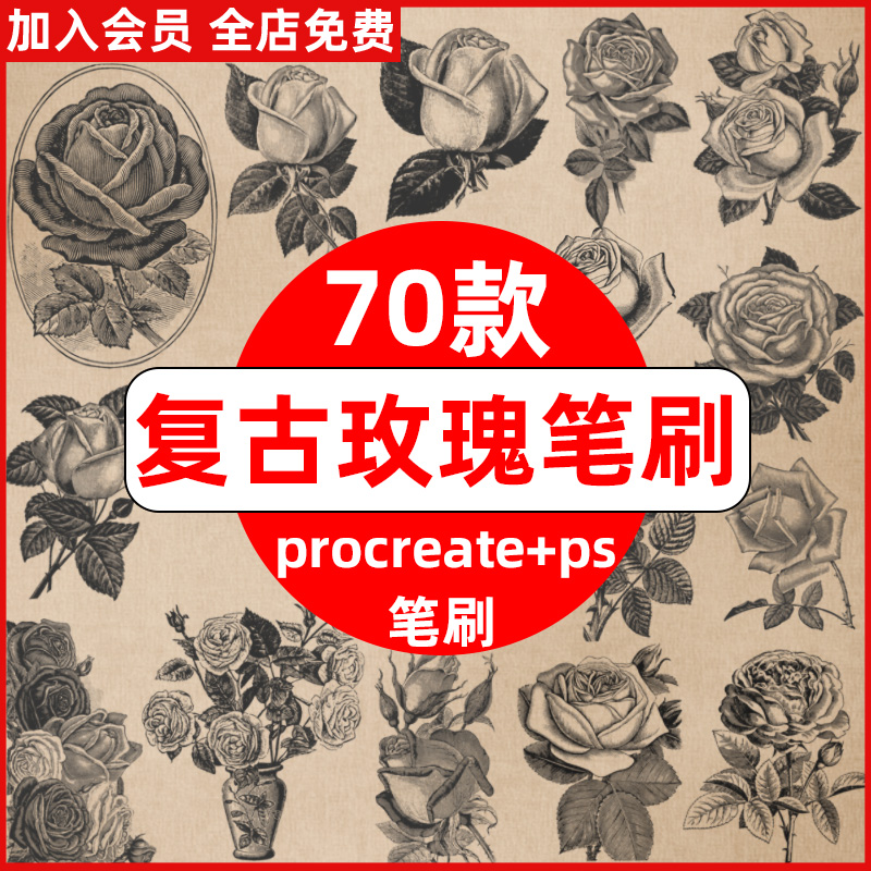 procreate笔刷ps笔刷欧式复古油画风玫瑰花朵花卉素描装饰插画