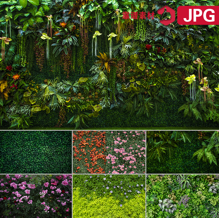 植物鲜花藤蔓蔷薇绿色树叶背景墙纸高清JPG图片素材