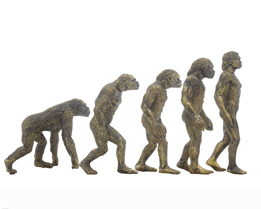 人类的起源 人类进化论 猿人 古生物人偶静态模型摆件玩具