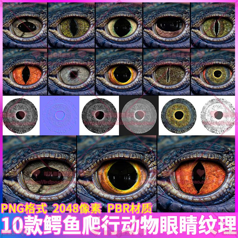 10款鳄鱼野兽爬行动物生物眼睛眼球纹理贴图素材 PBR材质PNG格式