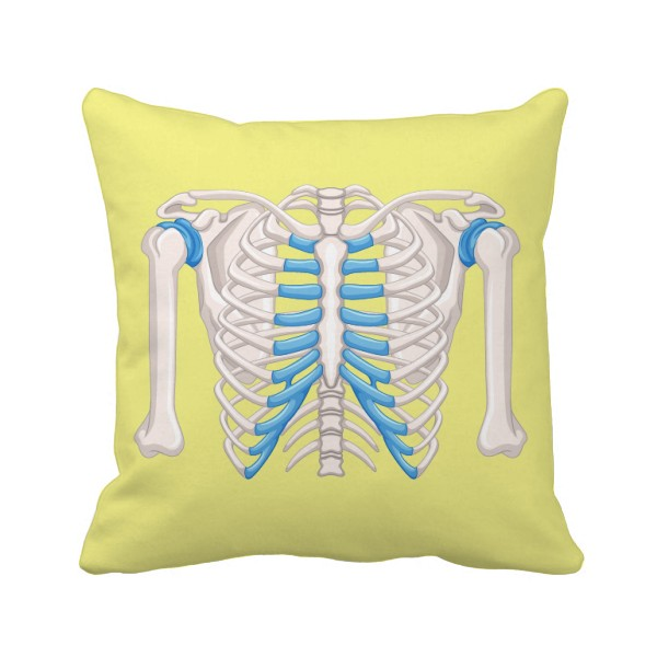 肋骨胸腔医学插画方形抱枕靠枕沙发靠垫双面含芯礼物