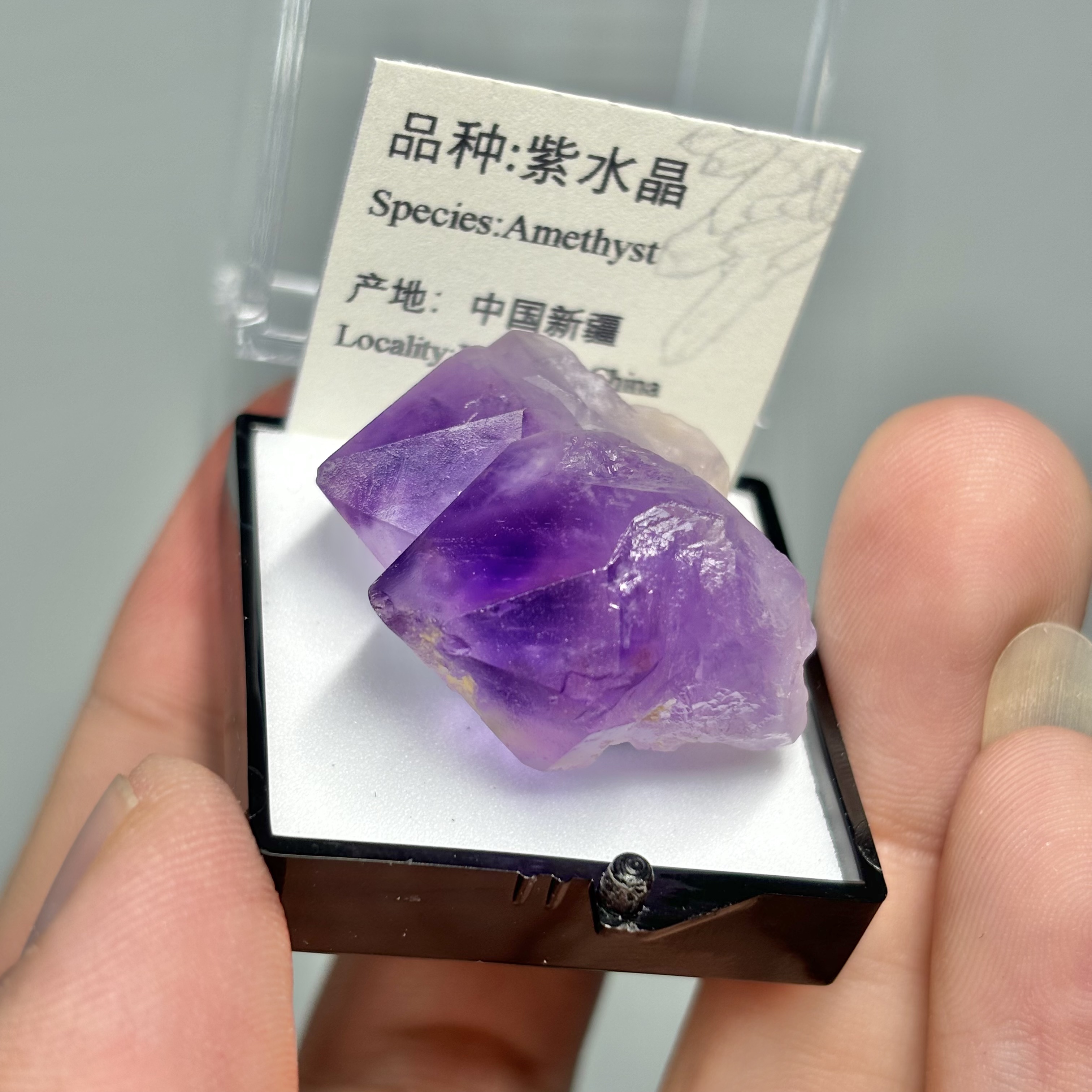 紫水晶簇天然矿物晶体标本盒子矿猫矿石原石宝石能量石晶石教学矿