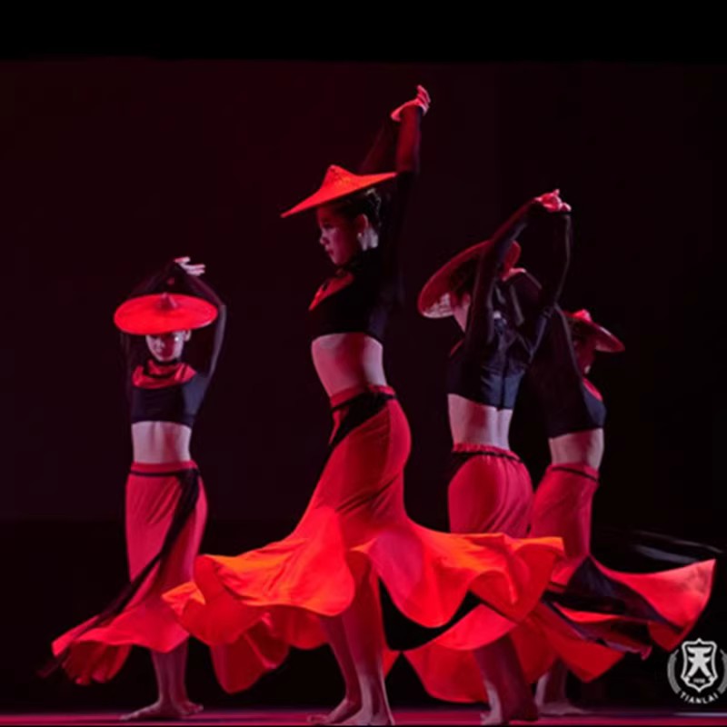 新款傣族舞蹈演出服族山灵舞蹈女子群舞裙民族舞台修身鱼尾练习裙