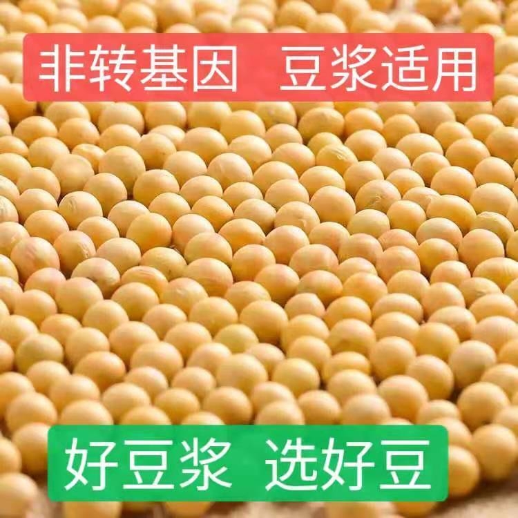 黄豆豆浆图片