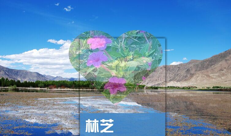 2024年西藏林芝旅游攻略图（电子版）自由行交通景点美食旅行指南