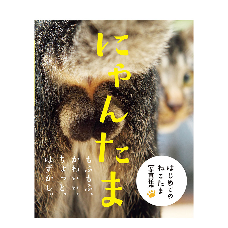 【预售】日文原版 猫咪的蛋蛋 にゃんたま 日文摄影作品集 日本正版进口书籍