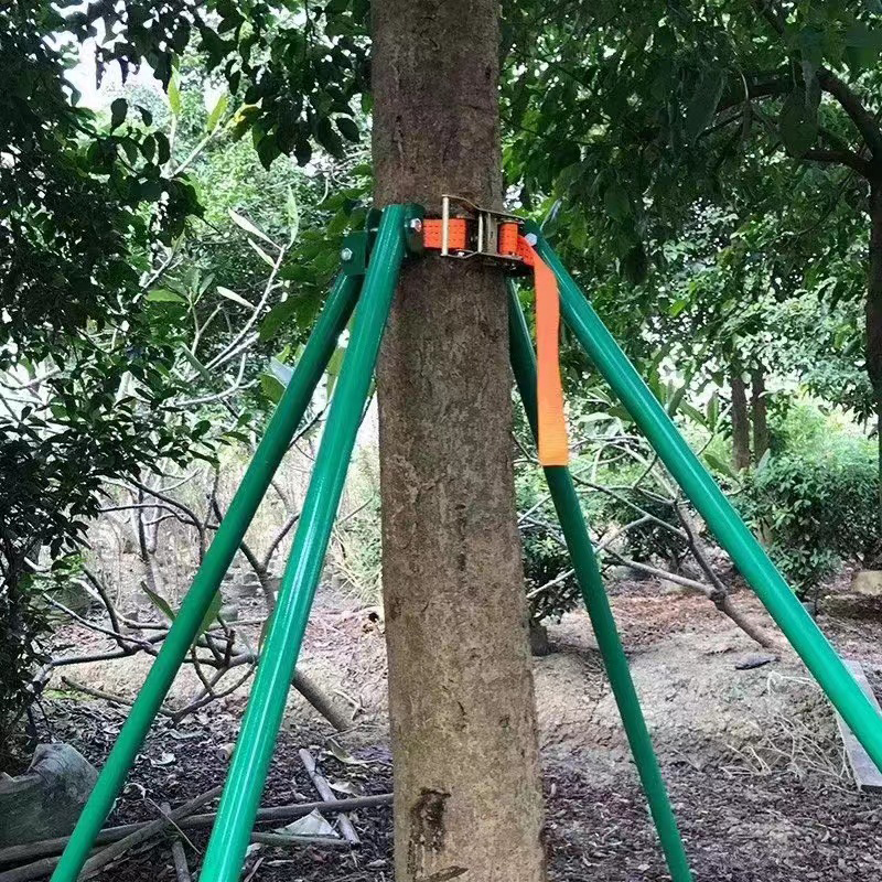 广东树木支撑架扶树苗木支撑杆绿色固定器园林防腐支架防风植物