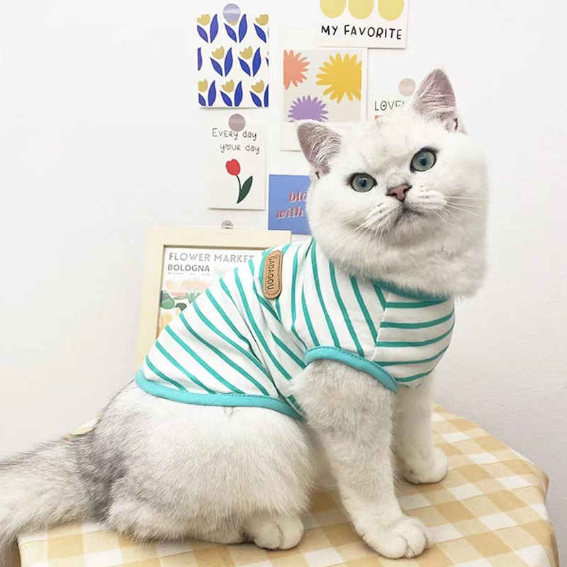 猫咪衣服薄款防掉毛夏季背心纯棉英美短银渐层布偶猫宠物夏天衣服