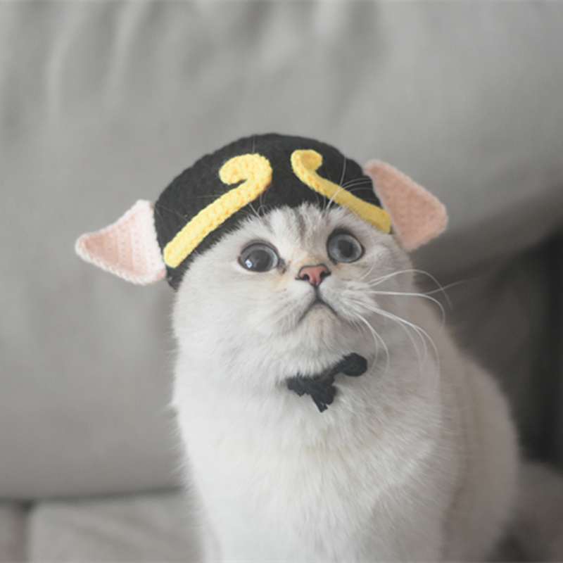 猫咪搞笑唐僧宠物头套猪八戒帽子该怪变装帽子可爱假发网红拍照头
