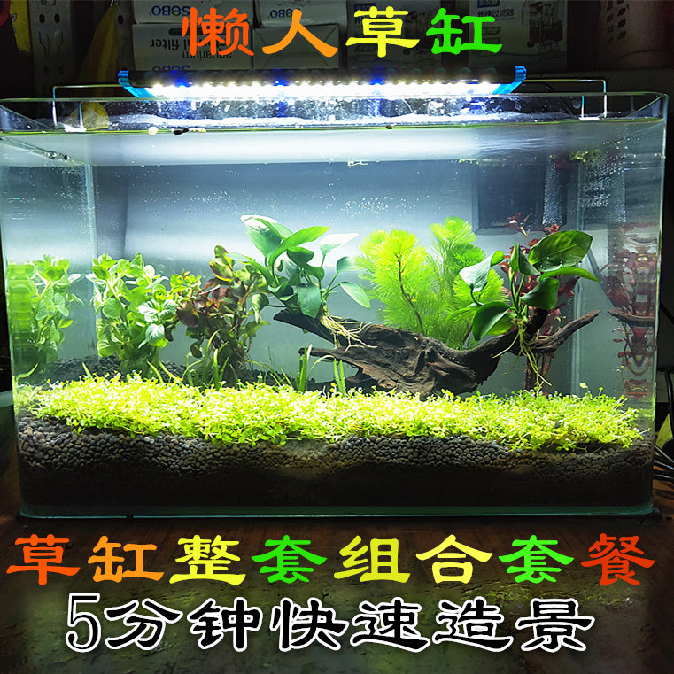 生态玻璃鱼缸草缸造景套餐活体水草真水草布景18-80厘米全套草缸